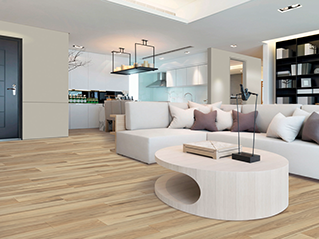 Living room scene